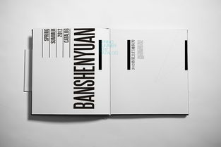 成都与创广告 以匠心打造“半身缘”高端精品画册与定制化软件开发方案